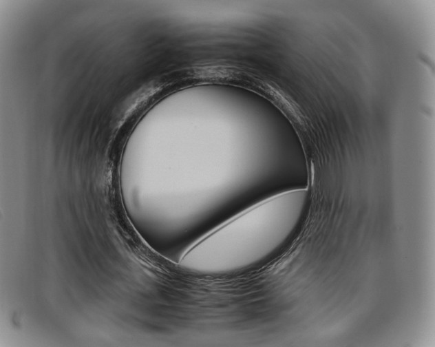 X0000096730723200802051128