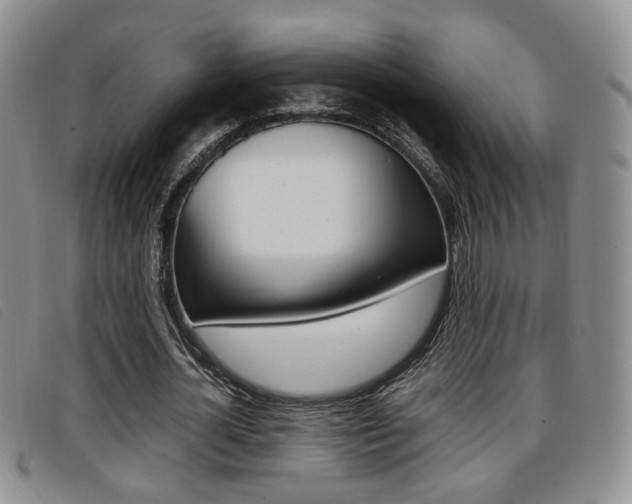 X0000096730724200802051128