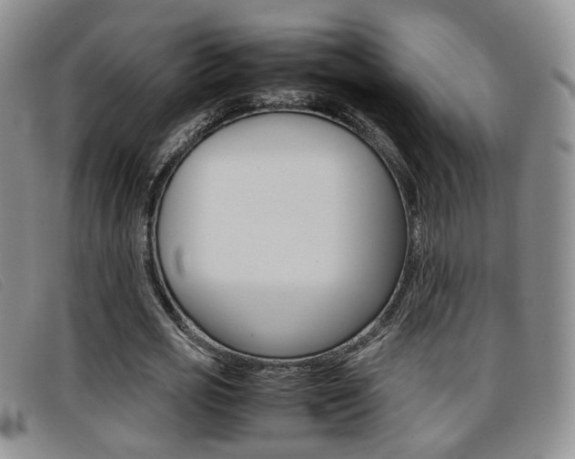 X0000096730725200802051128