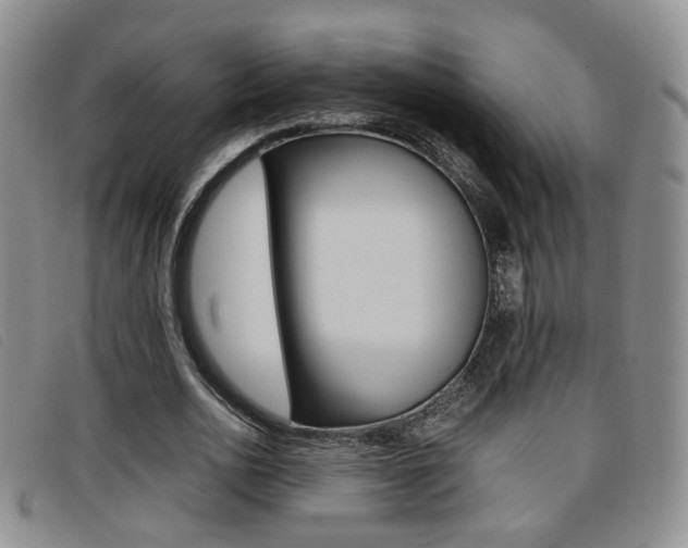 X0000096730726200802051128