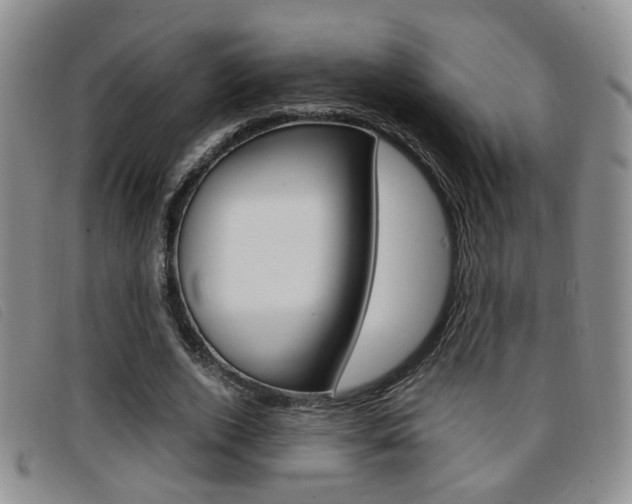 X0000096730728200802051128