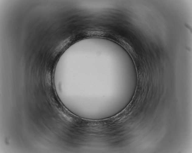 X0000096730729200802051128