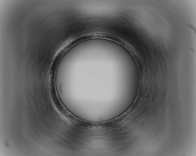 X0000096730730200802051128