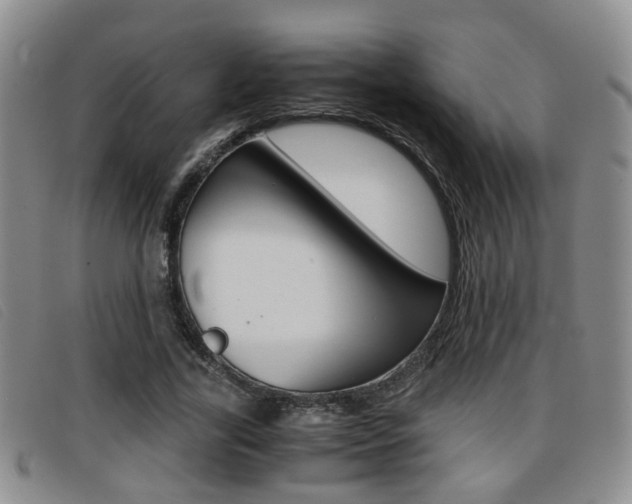 X0000096730731200802051128