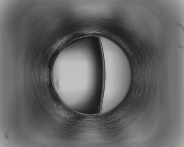 X0000096730732200802051128