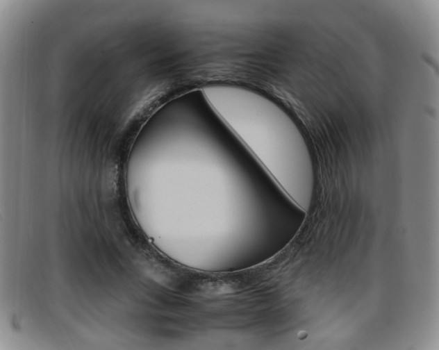 X0000096730735200802051128