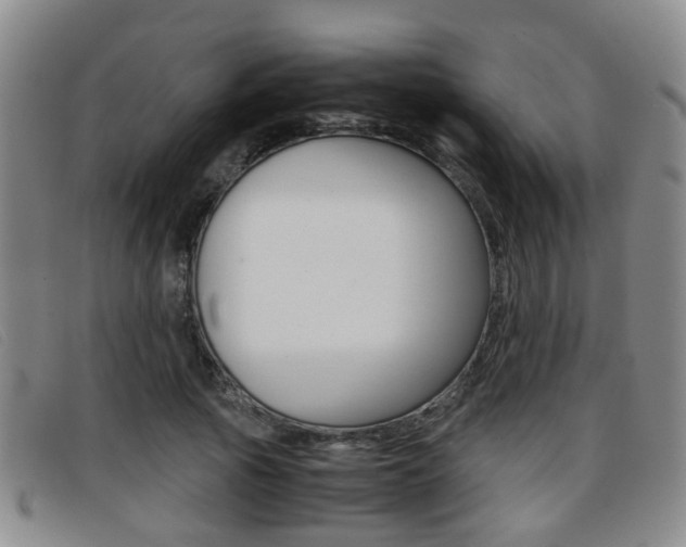X0000096730737200802051128