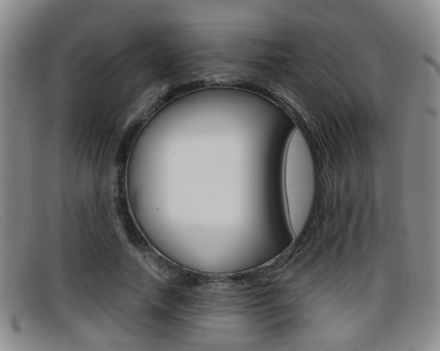 X0000096730738200802051128