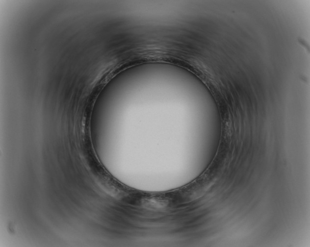 X0000096730739200802051128