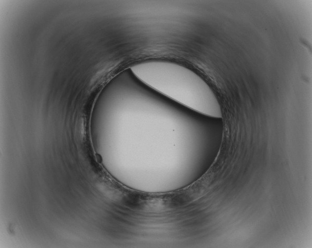 X0000096730740200802051128