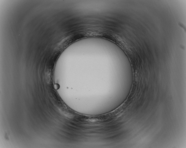 X0000096730741200802051128