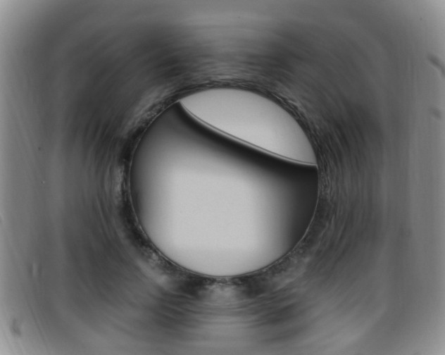 X0000096730742200802051128
