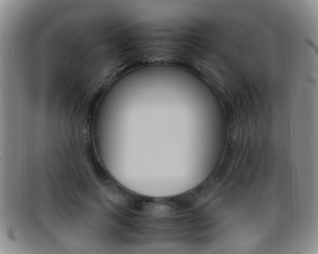X0000096730743200802051128