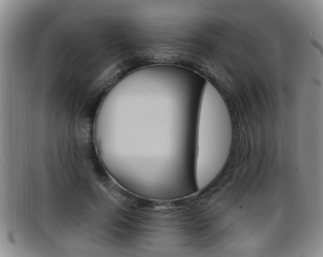 X0000096730744200802051128