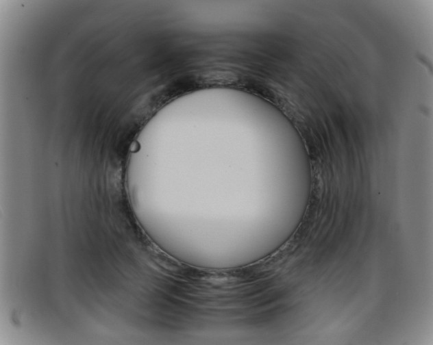 X0000096730745200802051128