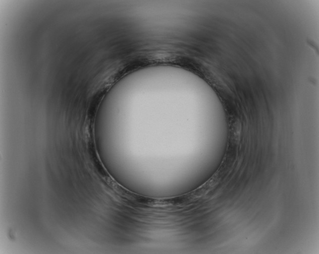 X0000096730746200802051128