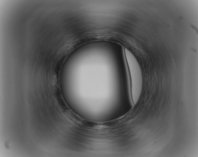 X0000096730748200802051128