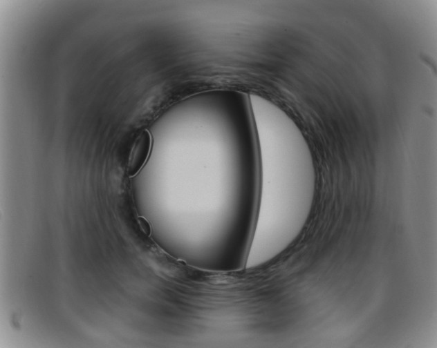 X0000096730750200802051128