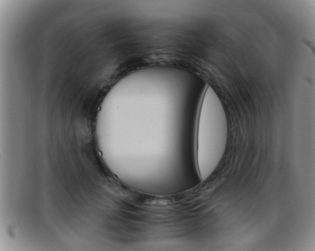 X0000096730751200802051128