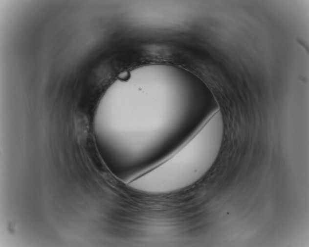 X0000096730752200802051128