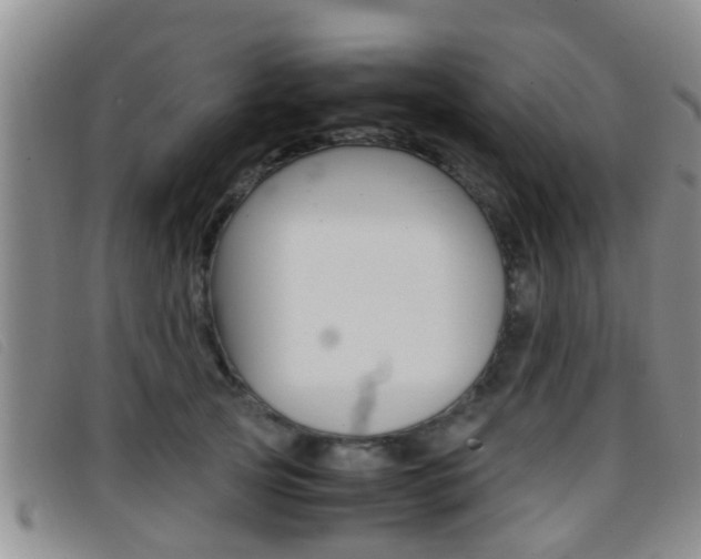 X0000096730753200802051128