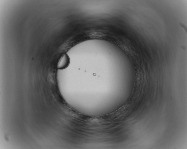 X0000096730755200802051128