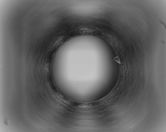 X0000096730756200802051128