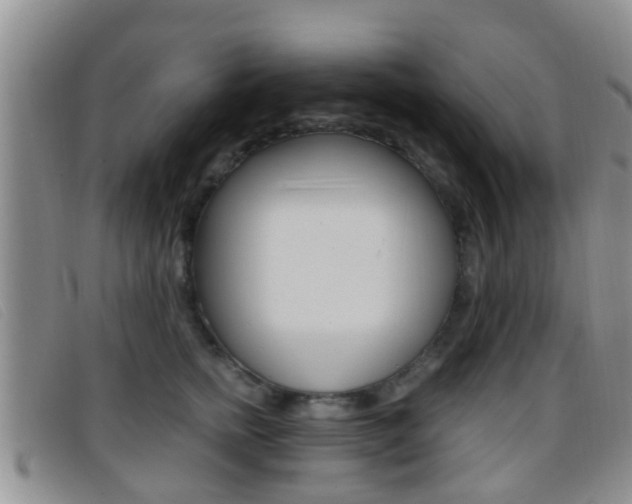 X0000096730758200802051128