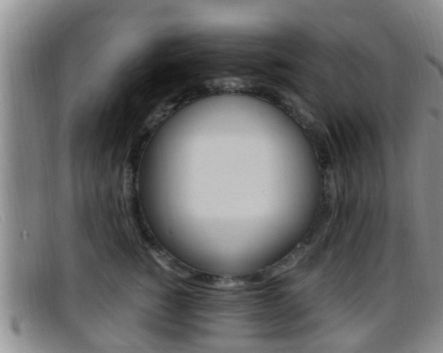 X0000096730760200802051128