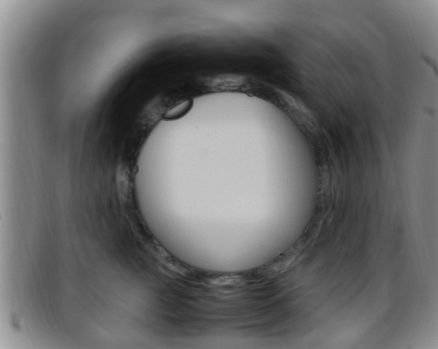 X0000096730761200802051128