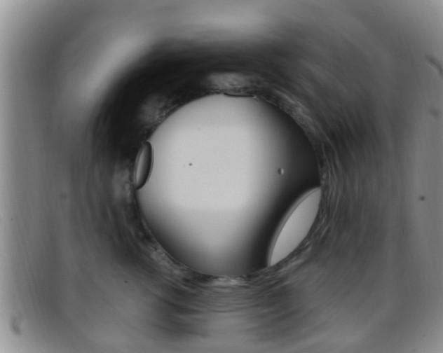 X0000096730762200802051128