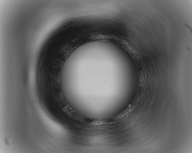 X0000096730764200802051128