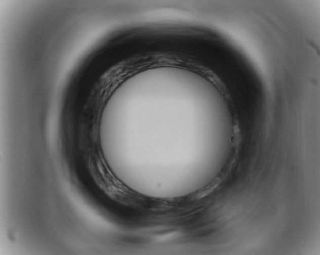 X0000096730765200802051129