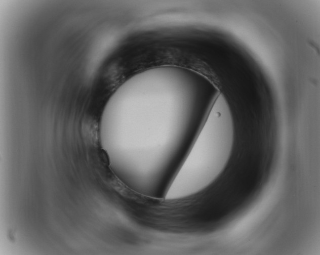 X0000096730766200802051129