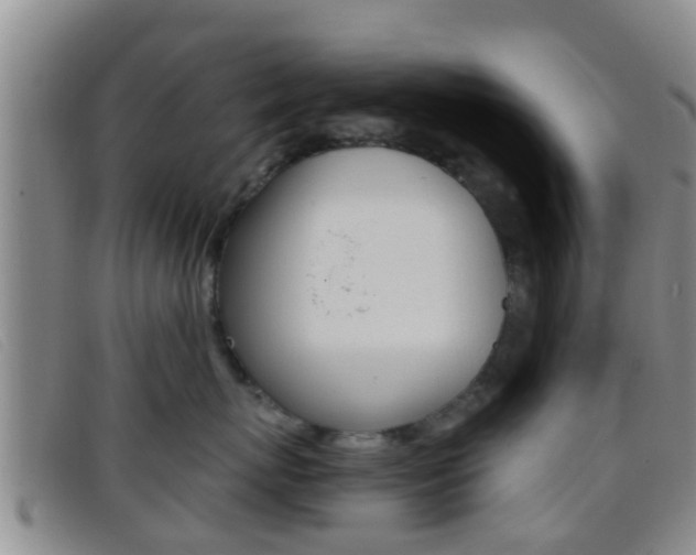X0000096730767200802051129