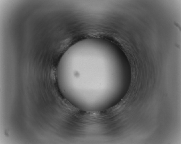 X0000096730768200802051129