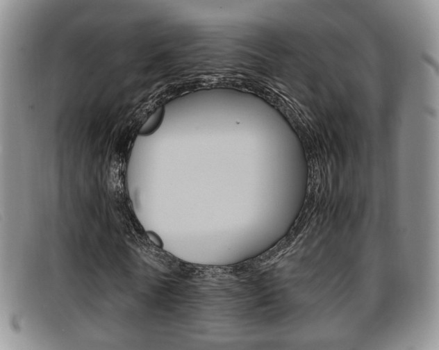 X0000096730770200802051128
