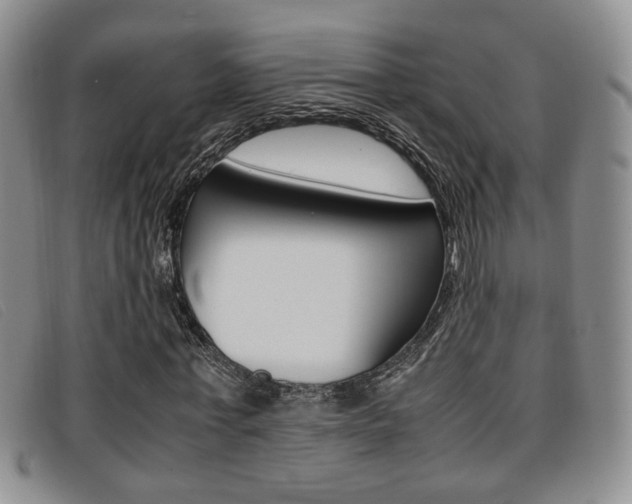 X0000096730771200802051128
