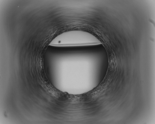 X0000096730772200802051128