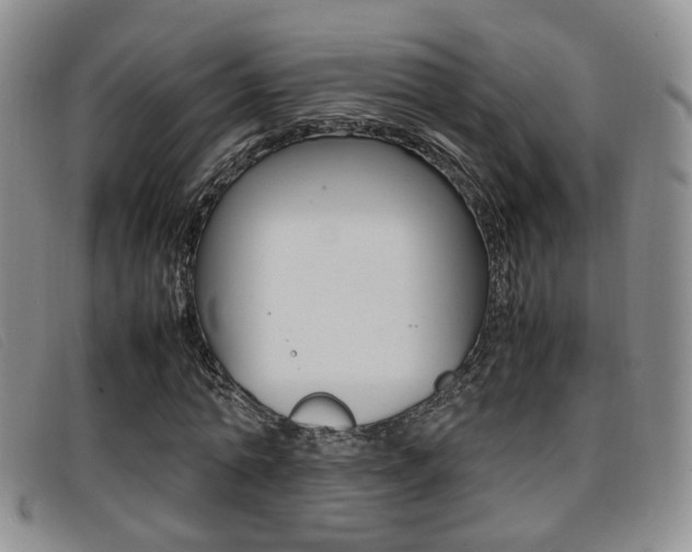 X0000096730774200802051128