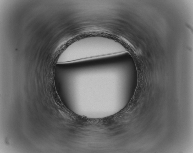 X0000096730775200802051128