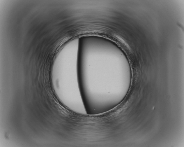 X0000096730777200802051128
