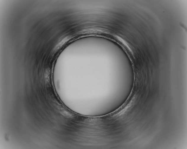 X0000096730778200802051128