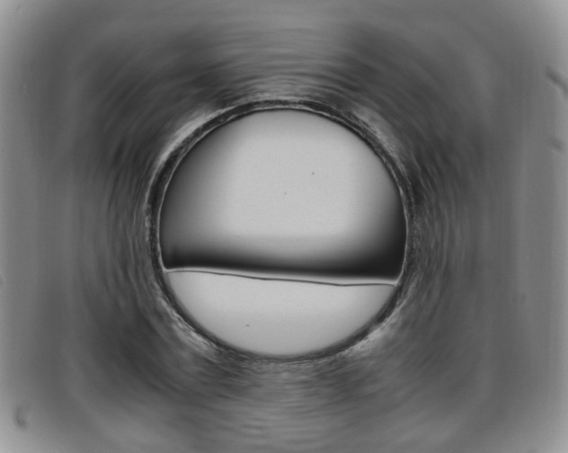 X0000096730779200802051128