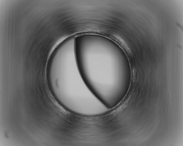 X0000096730780200802051128