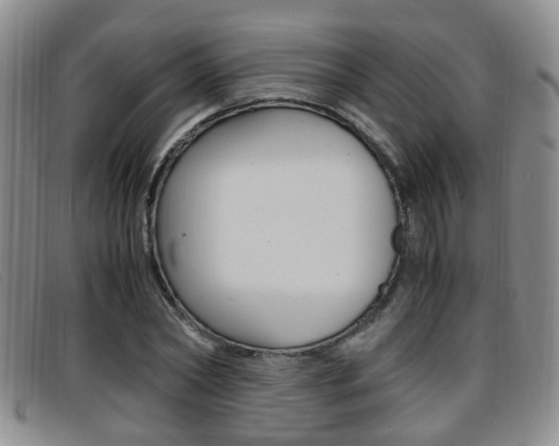 X0000096730782200802051128