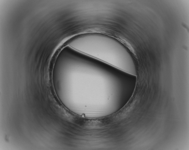 X0000096730784200802051128