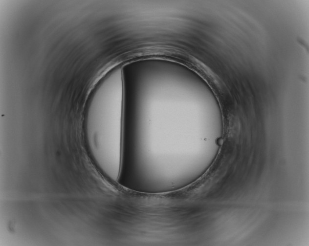 X0000096730786200802051128