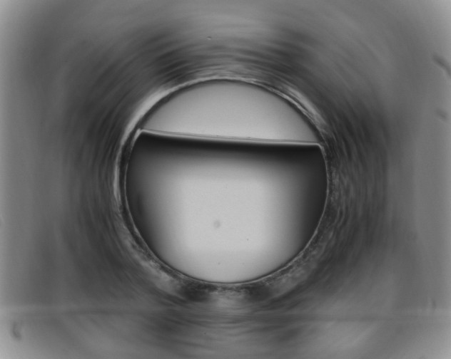 X0000096730788200802051128
