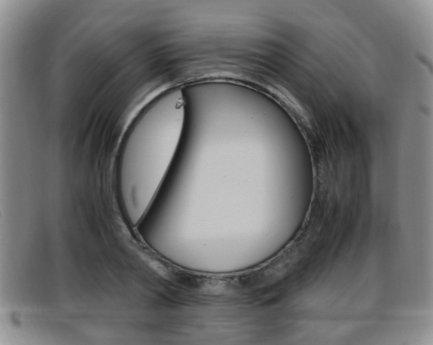X0000096730790200802051128